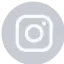 INS